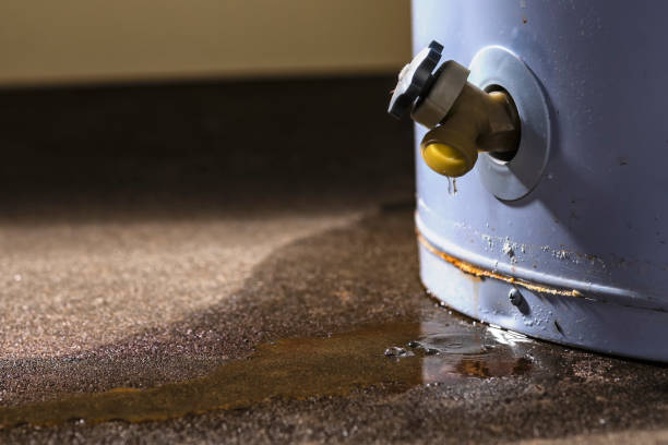 Best Sewage cleanup and water damage restoration  in Greensboro, NC