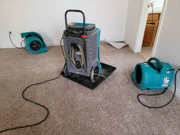 Best Ceiling water damage repair  in Greensboro, NC