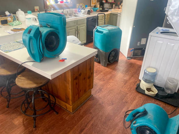 Best Carpet water damage restoration  in Greensboro, NC