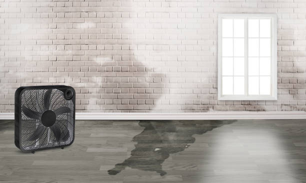 Best Sewage cleanup and water damage restoration  in Greensboro, NC