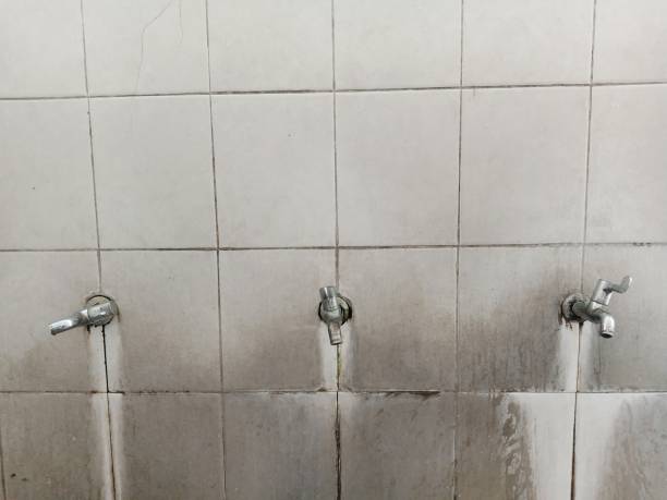 Best Water damage restoration cost  in Greensboro, NC