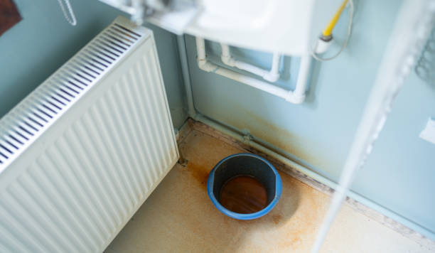 Best Mold removal after water damage  in Greensboro, NC