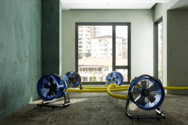 Best Basement water damage restoration  in Greensboro, NC