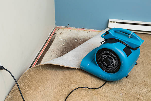 Best 24-hour water damage restoration  in Greensboro, NC
