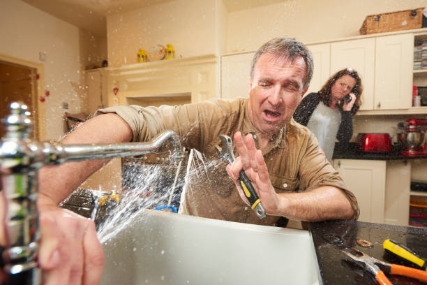 Best Water damage mitigation services  in Greensboro, NC